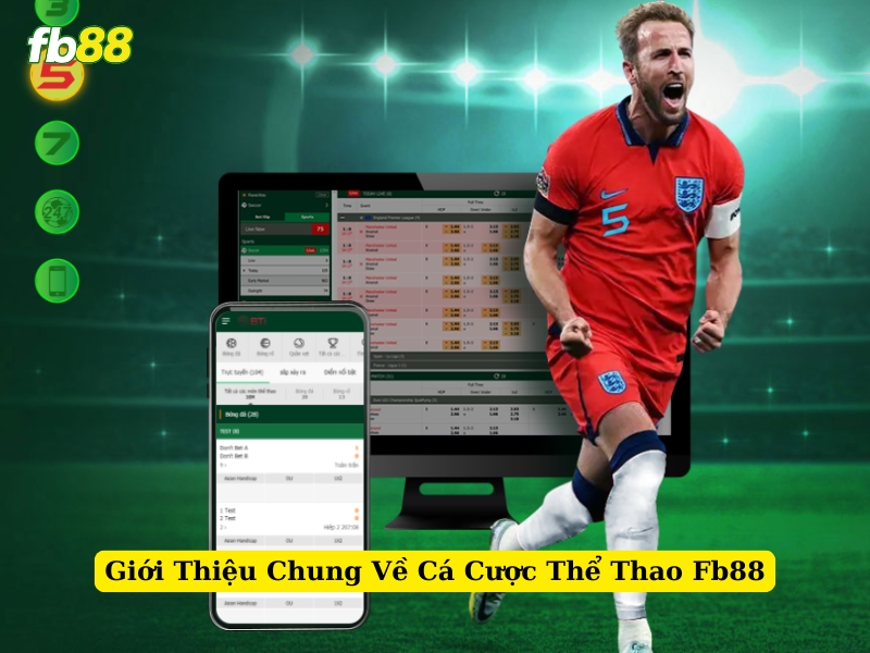 giới thiệu chung về cá cược thể thao fb88